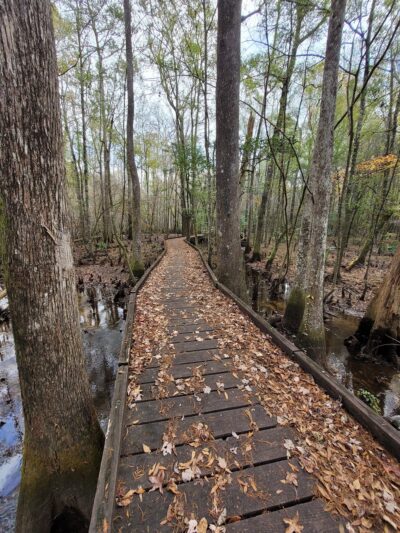 Palmetto Trail - Huger, SC