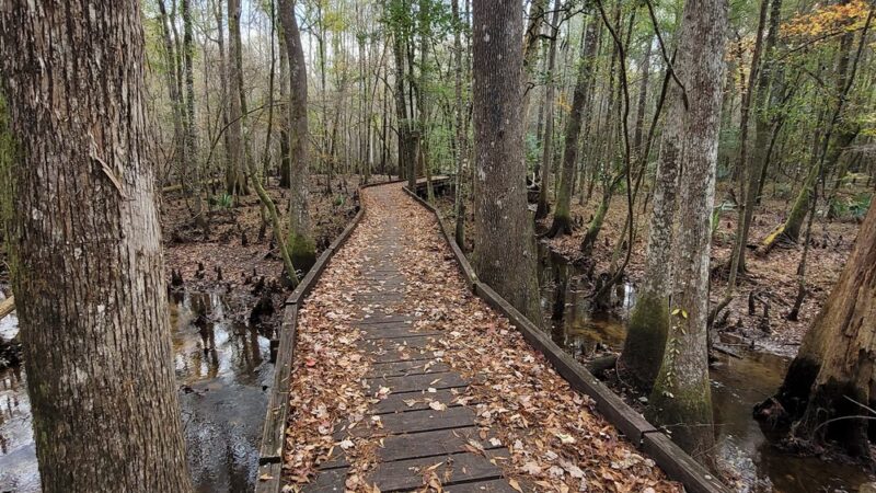 Palmetto Trail - Huger, SC