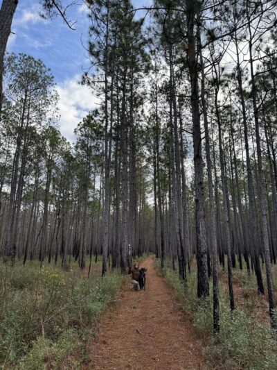 Palmetto Trail - Huger, SC
