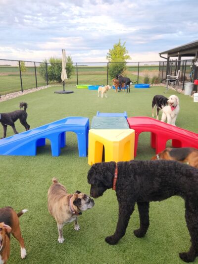 K-DOGS Pet Lodge, LLC - Hull, IA