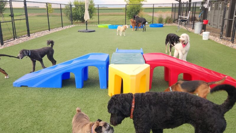 K-DOGS Pet Lodge, LLC - Hull, IA