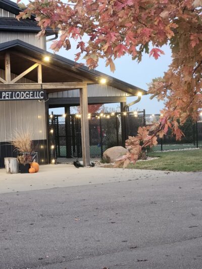 K-DOGS Pet Lodge, LLC - Hull, IA