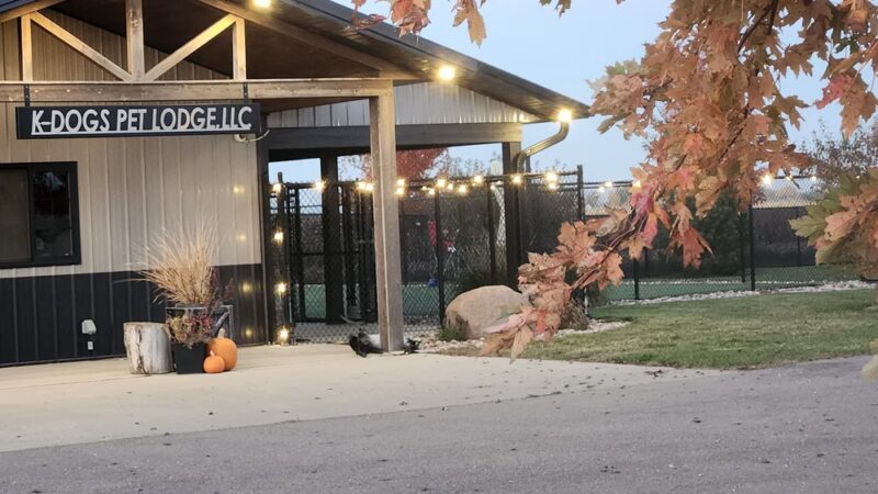 K-DOGS Pet Lodge, LLC - Hull, IA