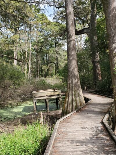 Jesse H. Jones Park & Nature Center - Humble, TX