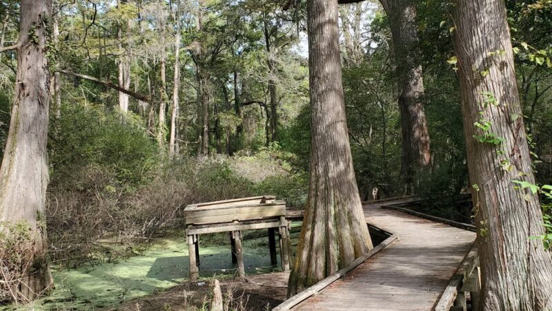 Jesse H. Jones Park & Nature Center - Humble, TX