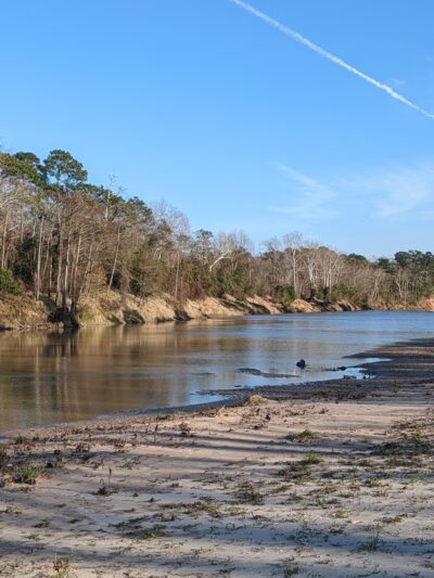 Jesse H. Jones Park & Nature Center - Humble, TX