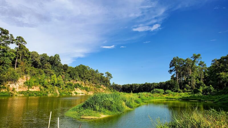 Jesse H. Jones Park & Nature Center - Humble, TX
