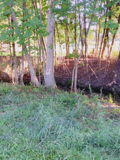 Hunlock Creek - Hunlock Creek, PA