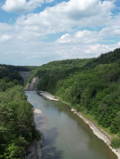 Letchworth State Park Upper Falls - Hunt, NY