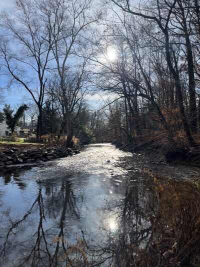 Pennypack Trail - Huntingdon Valley, PA