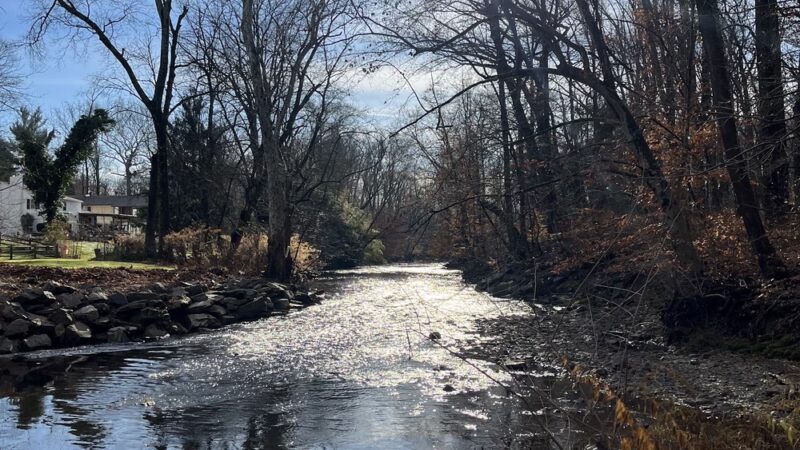 Pennypack Trail - Huntingdon Valley, PA