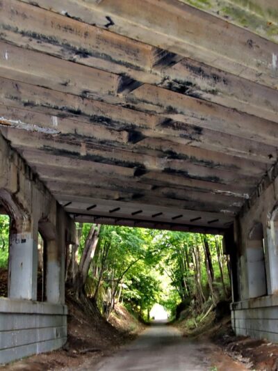 Pennypack Trail - Huntingdon Valley, PA