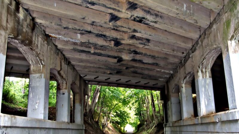 Pennypack Trail - Huntingdon Valley, PA