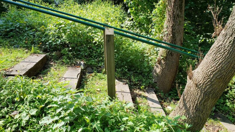 Pennypack Trail - Huntingdon Valley, PA