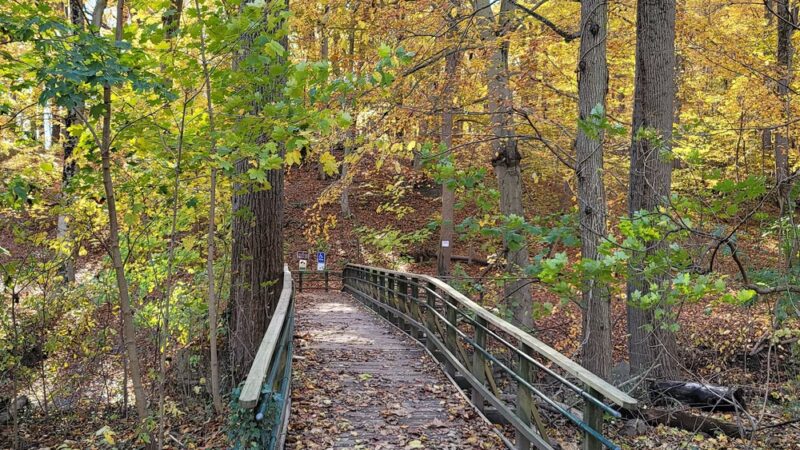 Lorimer Park - Huntingdon Valley, PA