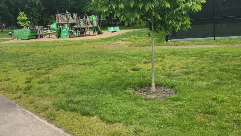 Lower Moreland Township Park - Huntingdon Valley, PA