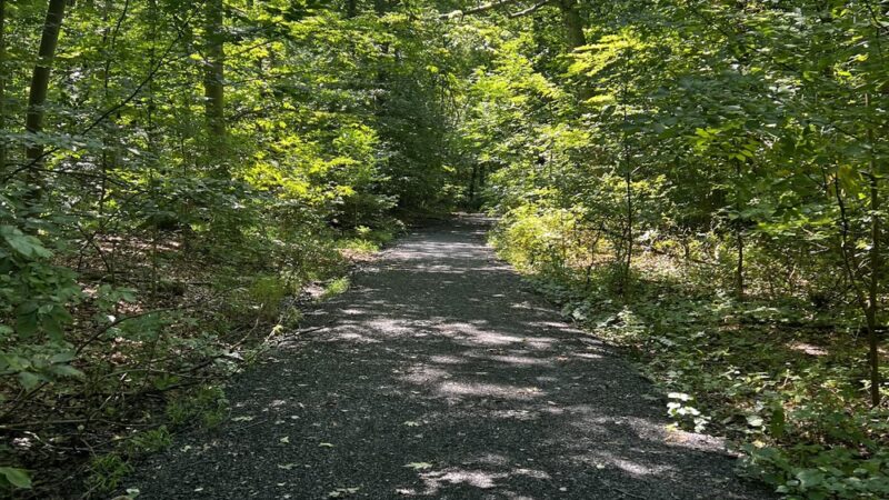 Pennypack Creek Trail - Huntingdon Valley, PA