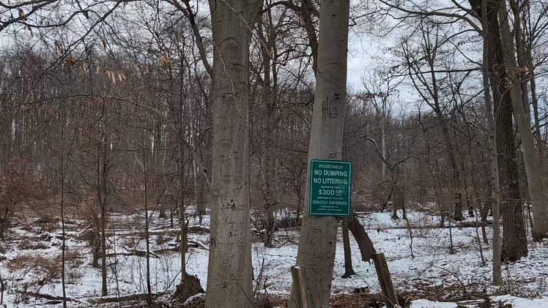 Pennypack Creek Trail - Huntingdon Valley, PA
