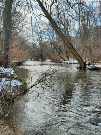 Pennypack Creek Trail - Huntingdon Valley, PA
