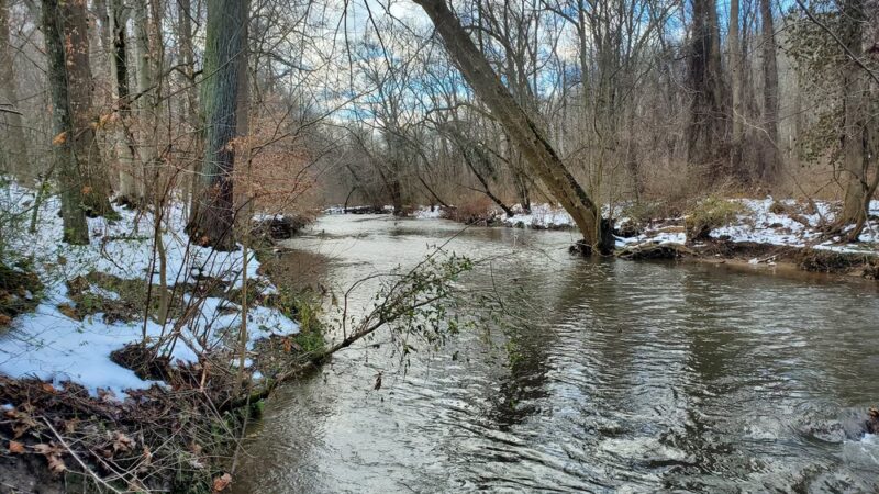 Pennypack Creek Trail - Huntingdon Valley, PA