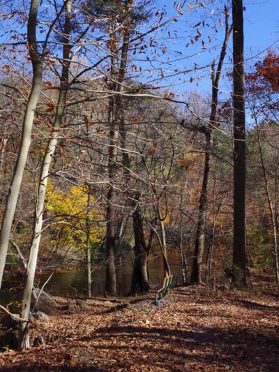 Pennypack Creek Trail - Huntingdon Valley, PA