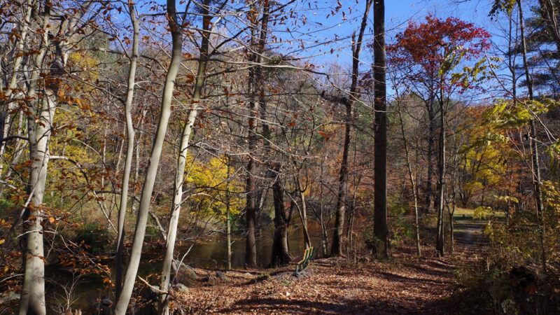 Pennypack Creek Trail - Huntingdon Valley, PA
