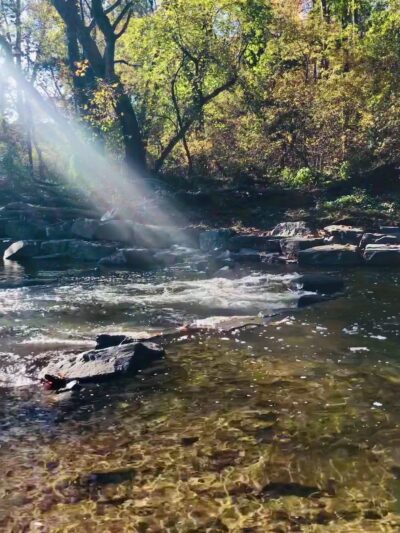 Pennypack Trail - Huntingdon Valley, PA