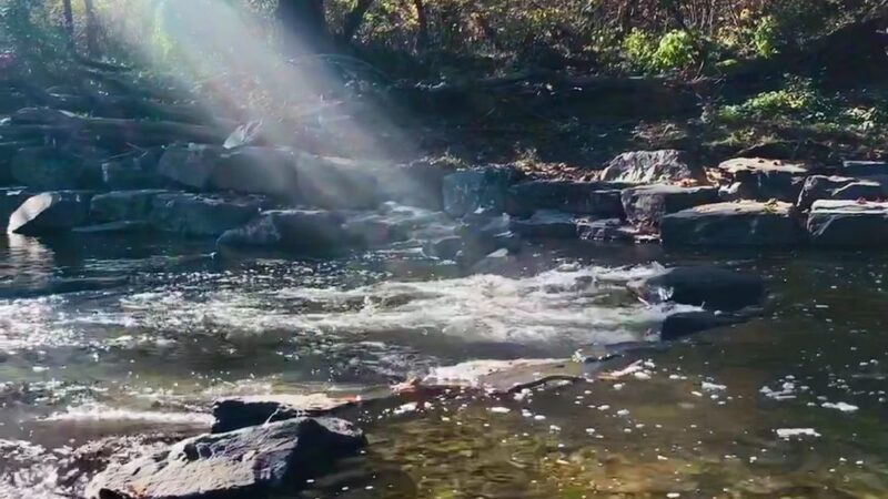 Pennypack Trail - Huntingdon Valley, PA