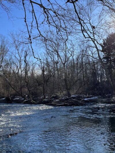 Pennypack Trail - Huntingdon Valley, PA