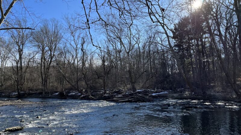 Pennypack Trail - Huntingdon Valley, PA