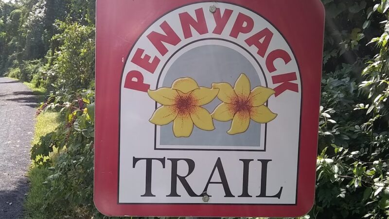 Pennypack Trail - Huntingdon Valley, PA