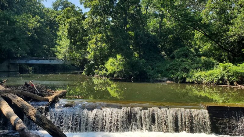 Pennypack Trail - Huntingdon Valley, PA