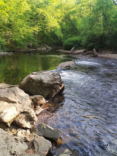 Pennypack Trail Parking Lot - Huntingdon Valley, PA