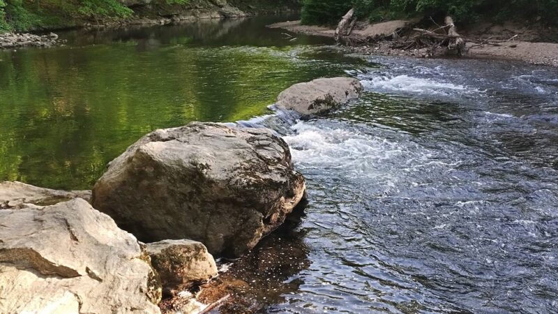 Pennypack Trail Parking Lot - Huntingdon Valley, PA