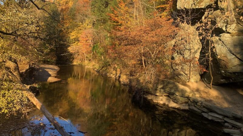 Pennypack Trail Parking Lot - Huntingdon Valley, PA
