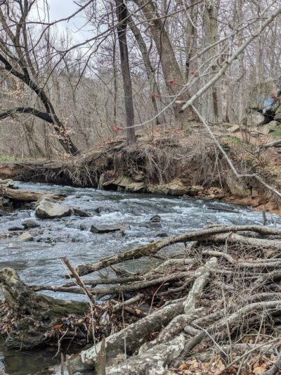 Pennypack Trail Parking Lot - Huntingdon Valley, PA