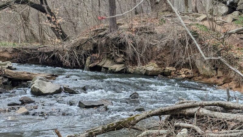 Pennypack Trail Parking Lot - Huntingdon Valley, PA