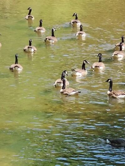 Pennypack Trail Parking Lot - Huntingdon Valley, PA