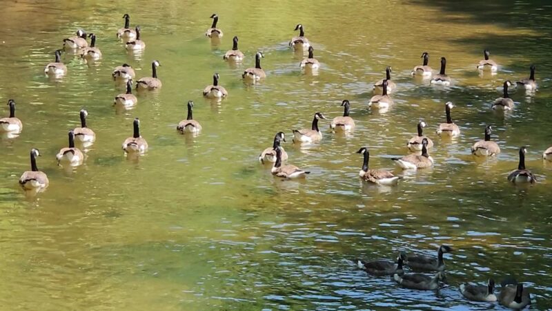 Pennypack Trail Parking Lot - Huntingdon Valley, PA