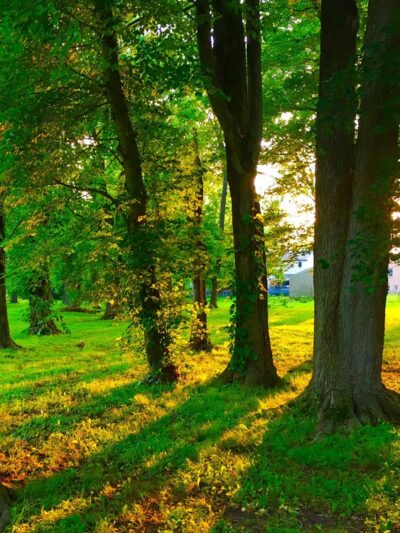 Ridgway Park - Huntingdon Valley, PA