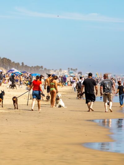 Huntingon Dog Beach - Huntington Beach, CA
