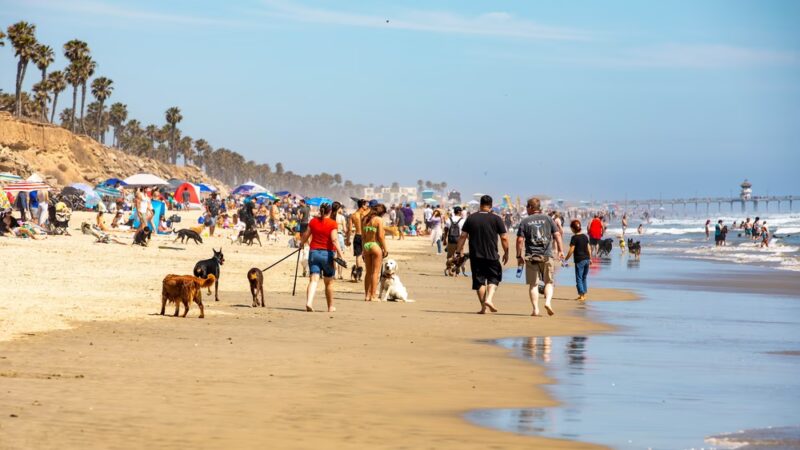 Huntingon Dog Beach - Huntington Beach, CA