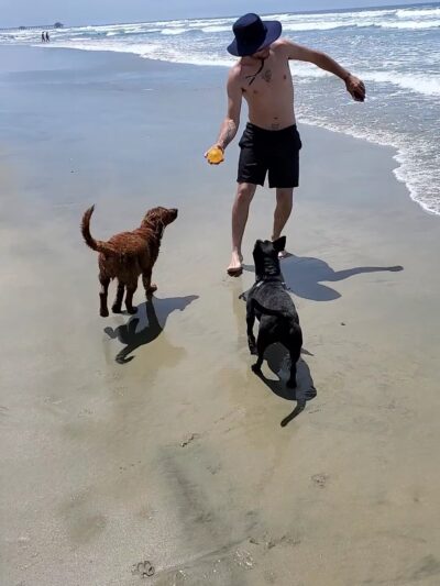 Huntingon Dog Beach - Huntington Beach, CA