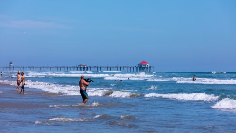 Huntingon Dog Beach - Huntington Beach, CA
