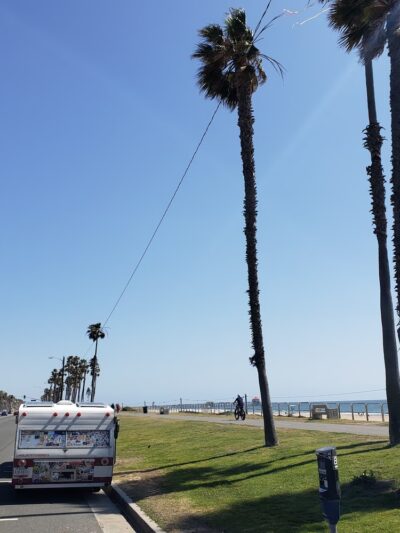 Huntingon Dog Beach - Huntington Beach, CA