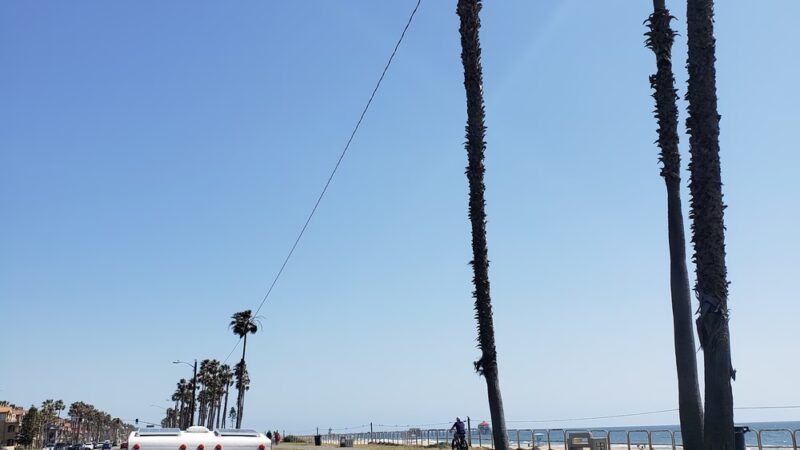 Huntingon Dog Beach - Huntington Beach, CA