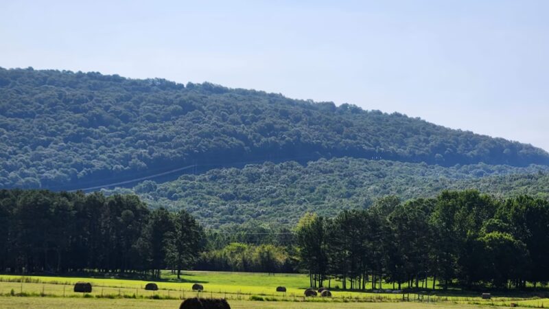 Aldridge Creek Greenway - Huntsville, AL