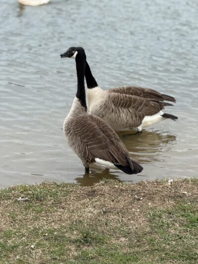 Jones Farm Park - Huntsville, AL