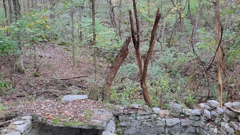 Trailhead Greenway - Huntsville, AL