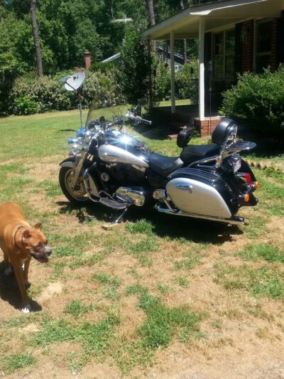 Bushy Fork Park - Hurdle Mills, NC